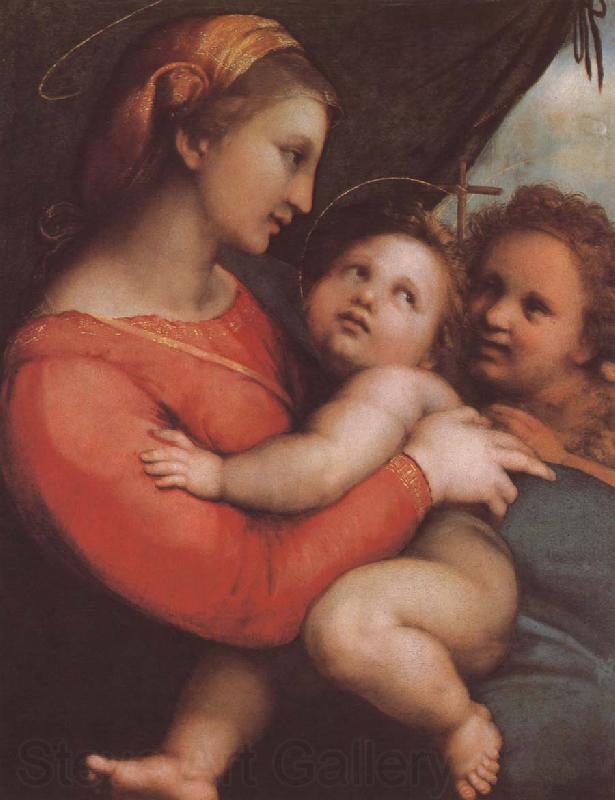 RAFFAELLO Sanzio The virgin mary and younger John Germany oil painting art